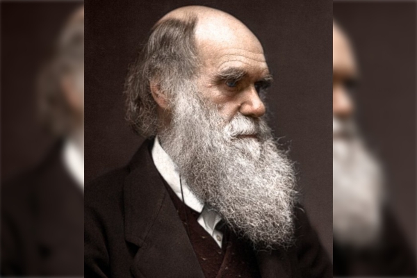 El sexismo victoriano habría influido en las teorías de evolución de Darwin