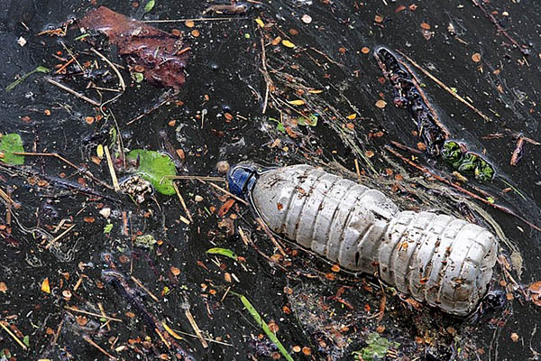 Un “tsunami de basura” recorre aguas de México hasta llegar a EU