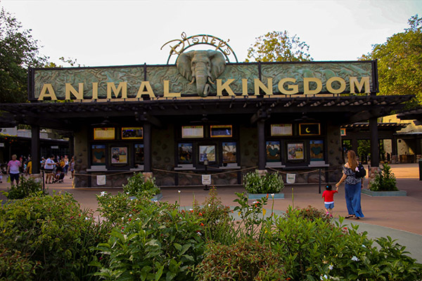 Disney elimina el uso obligatorio de cubrebocas en sitios cerrados en Orlando