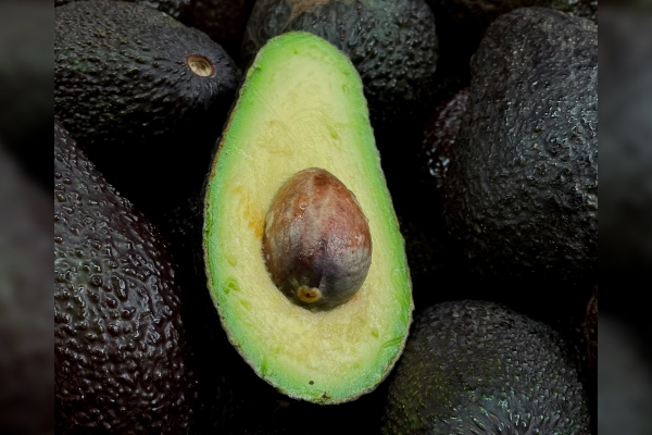 EU demanda seguridad para sus inspectores antes de importar aguacate mexicano