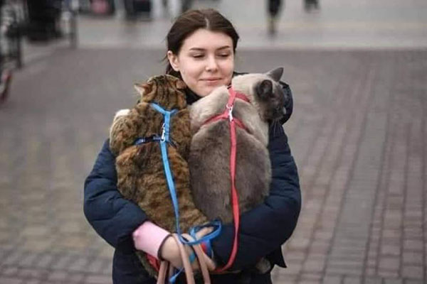 Mascotas, valoradas en zona de guerra; en México las dejan a su suerte