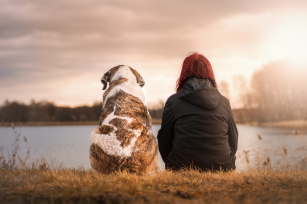 Mascotas, la compañía que previene el deterioro cognitivo