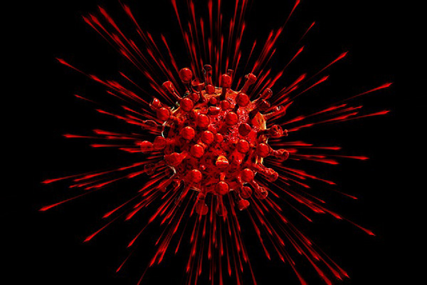 Nuevos estudios hallan más evidencia que apoya origen natural de SARS-CoV-2