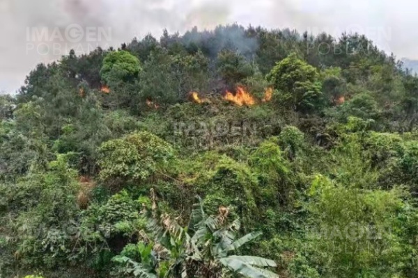 Aún no encuentran los cuerpos de pasajeros del Boeing de China Eastern