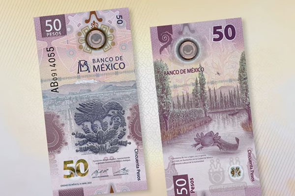 Los billetes de México destacan en el mundo por sus diseños