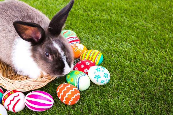 Y a todo esto, ¿de dónde surge el “Conejo de Pascua”?