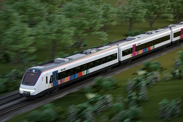 Juez suspende construcción del tramo cinco sur del Tren Maya