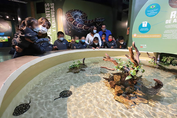 Disfrutan niñas y niños a resguardo del SEDIF del Acuario Michin