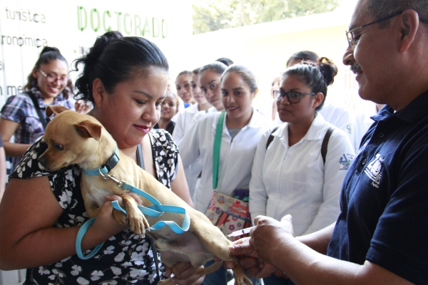 Día Mundial de la Vacunación Animal: las mascotas también necesitan protección