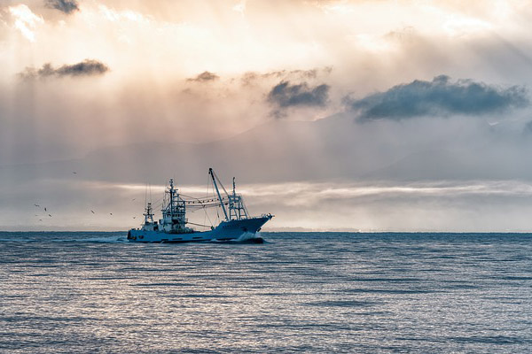 Diez personas mueren tras la desaparición de un barco turístico en Japón