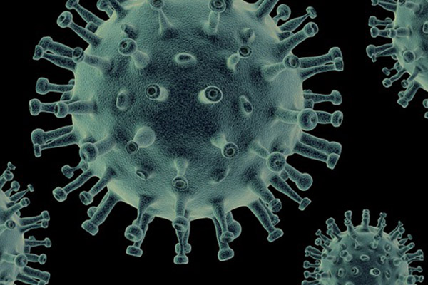 Cambio climático facilitará propagación de nuevos virus de animales a humanos: estudio