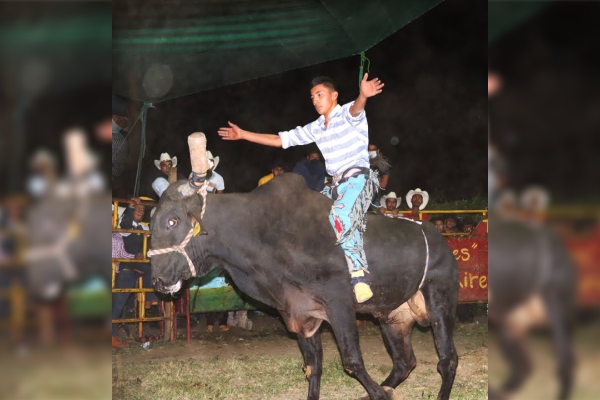 Jaripeos y palenques clandestinos, escenarios de tragedias