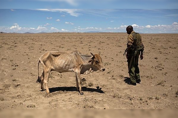 Sequía en África ya afecta a más de 11 millones de personas