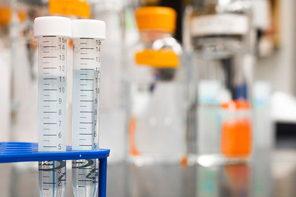 Probarán por primera vez en humanos un virus para combatir el cáncer