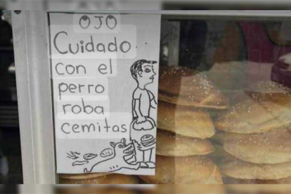 El “perro roba cemitas” y otros divertidos ladrones de comida