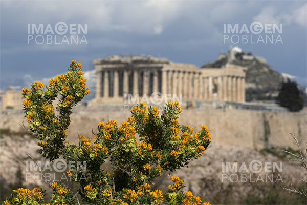 Grecia detecta un caso de lepra