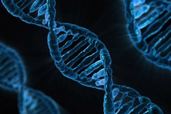 Científicos descubren nueva enfermedad hereditaria que causa fallos renales y hepáticos