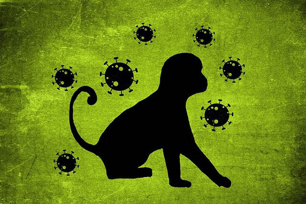 Nigeria registra primer caso letal de la viruela del mono