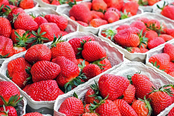 Fresas mexicanas, asociadas con brotes de hepatitis A en EU