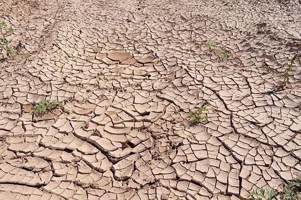 Nuevas restricciones sobre uso de agua en California por causa de histórica sequía