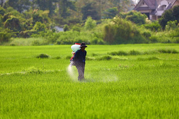 El campo mexicano está en riesgo por la falta de fertilizantes rusos