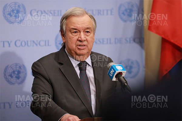 ONU: Mueren dos pacificadores egipcios en Mali y otros dos resultan heridos