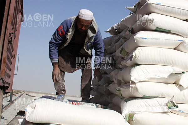 OMS: Enfermedades de origen alimentario afectan anualmente a 10% de población mundial
