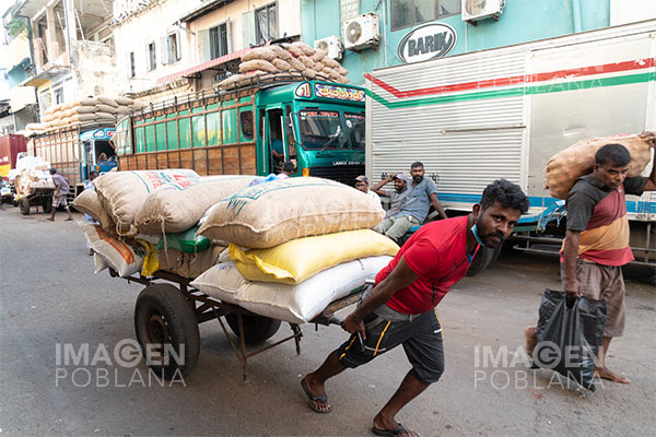 ONU teme que en Sri Lanka surja una crisis humanitaria de gran escala