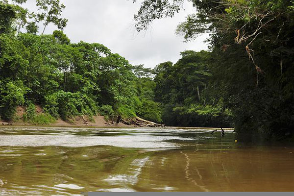 Policía brasileña niega hallazgo de periodista e indigenista desparecidos en Amazonía