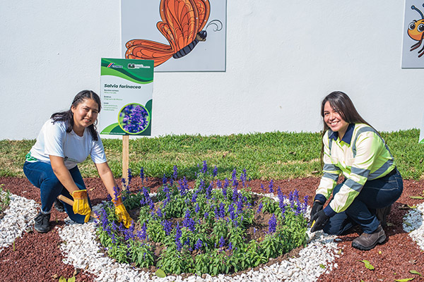 Wildlife Habitat Council y CEMEX impulsan la conservación ambiental