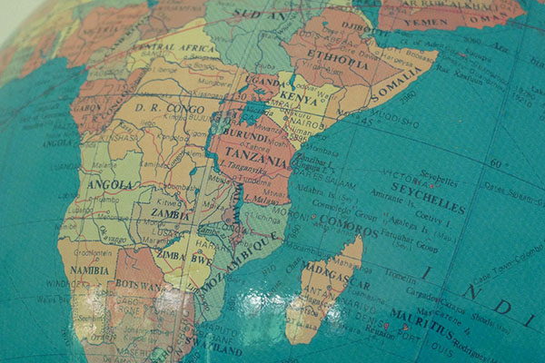 OMS: Ocho países africanos reportan casos de viruela del mono
