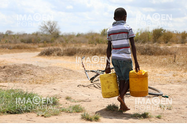 ONU: Más de un millón de personas sin hogar en Cuerno de África por sequía