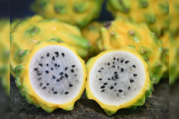 Pitahaya amarilla de América echa raíces en isla tropical de China