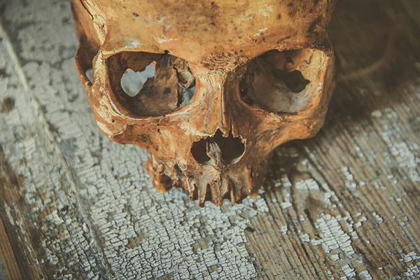 El fósil humano más antiguo de Europa es hallado en España