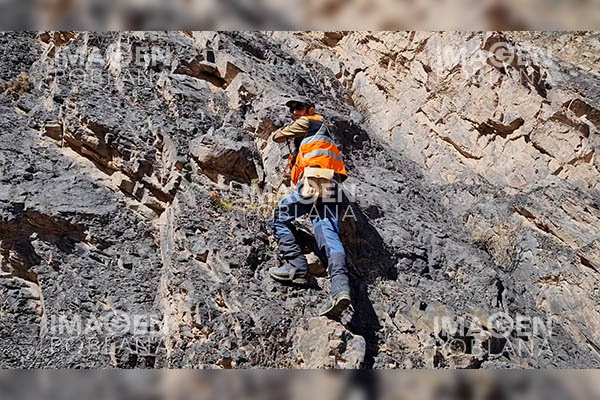 Descubren más de mil huellas de dinosaurios en pequeño pueblo chileno