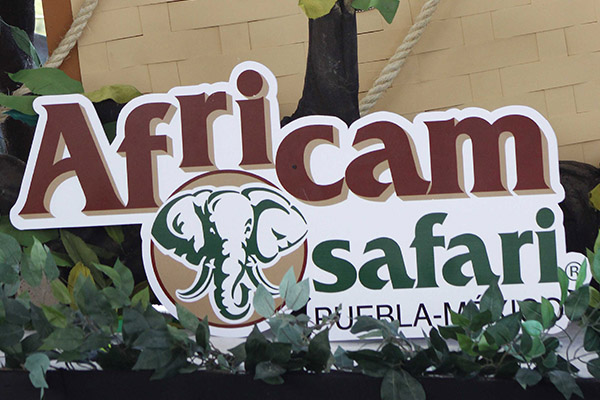 Africam Safari: 50 años de logros en conservación animal