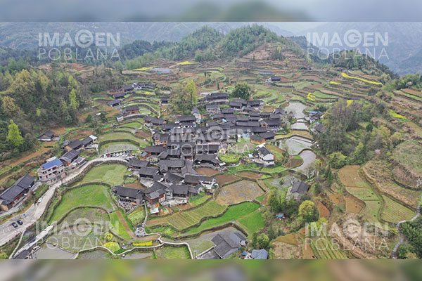 China halla fósiles de hipparion de ocho millones de años