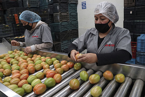 Economía de Puebla suma 555 mdp al PIB durante primer trimestre de 2022
