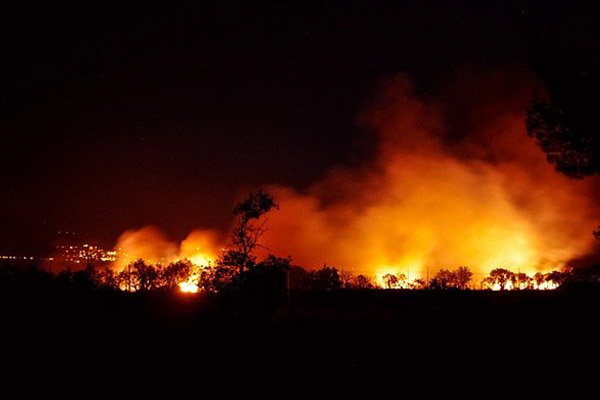 Sospechoso admite haber iniciado incendios forestales en Francia