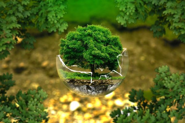 Día de la Sobrecapacidad de la Tierra: el planeta ya agotó sus recursos para 2022