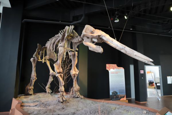 Sin corrupción, Gobierno Estatal rescata museos y cuida acervo: Barbosa