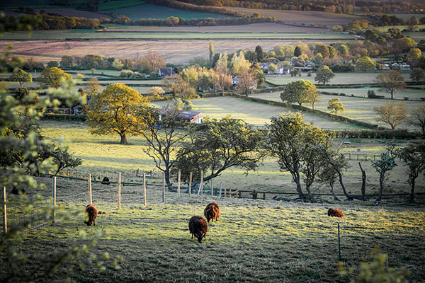 Yorkshire, la novena región británica en declarar el estado de sequía