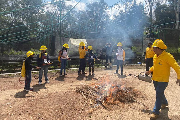 Promueve SIPINNA actividades culturales para adolescentes