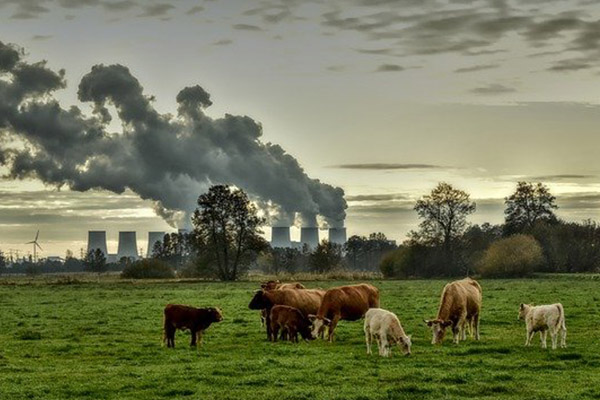 Así se refleja el cambio climático en diferentes ecosistemas de la Tierra