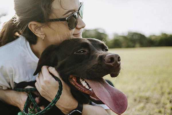 Los perros lloran de alegría al reunirse con sus dueños, revela estudio