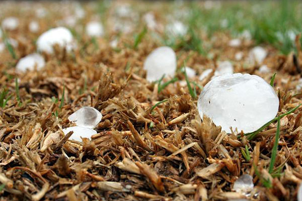 Bebé fallece tras ser golpeada por enorme bola de hielo durante granizada