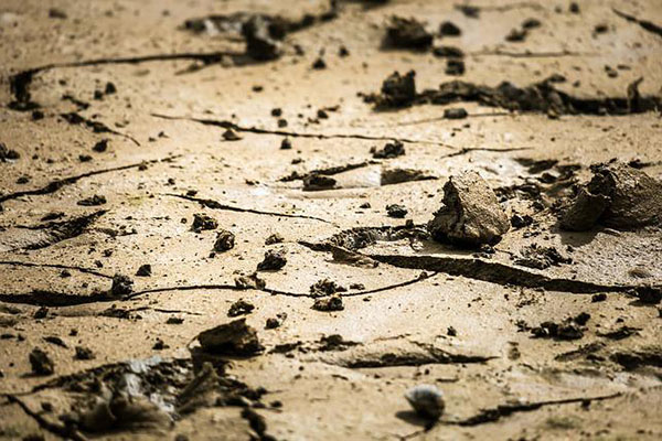 Diez muertos y seis heridos tras deslizamientos de tierra en Uganda