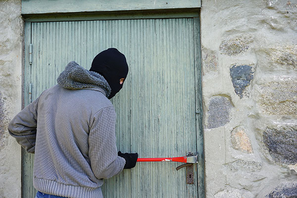 Esto es lo que buscan los delincuentes que asedian escuelas