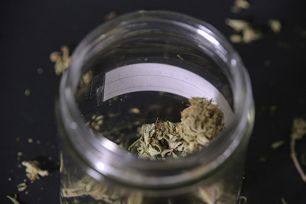 ¿El cannabis tiene fecha de caducidad? Podría provocar problemas de salud