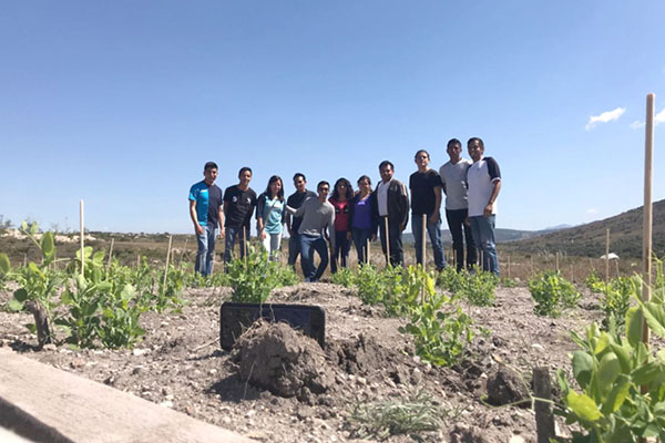 Investigadoras de la BUAP logran mejorar condiciones de cultivo en suelos áridos